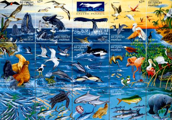 Marine biodiversity