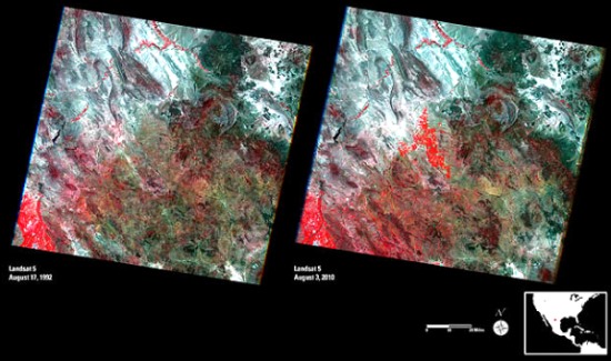 Landsat images of Chihuahua