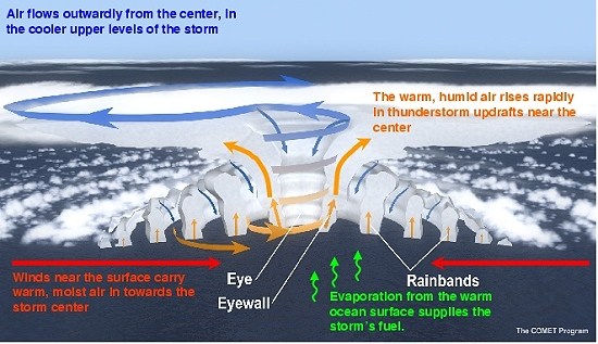 Diagram showing features of the existing GFDL Hurricane Prediction System