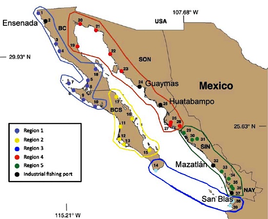 Proposed fishing regions in NW Mexico