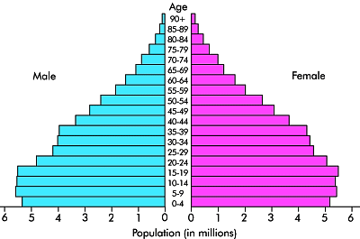 Age Sex Diagram 117