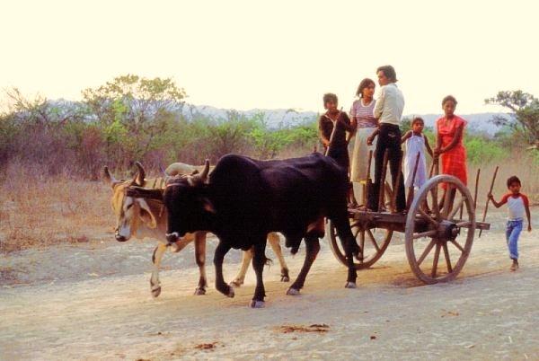Local "bus" to the train station, Tehuantepec, 1985