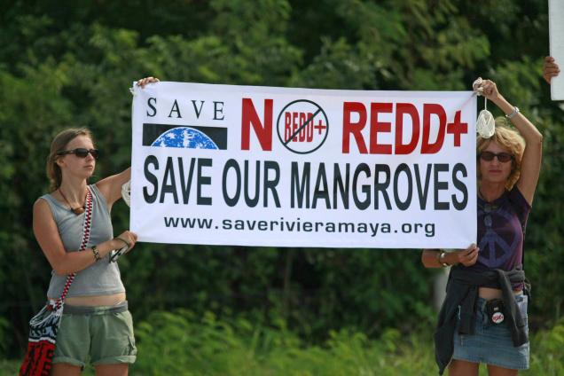 Opposition to mangrove destructon