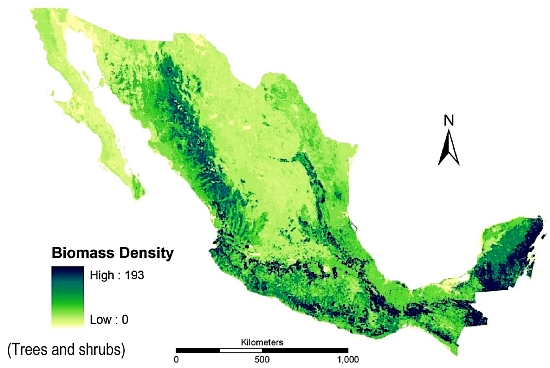 Biomass production in Mexico (Trees and bushes)