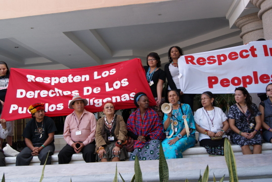 Protests in support of indigenous rights, Cancún climate summit