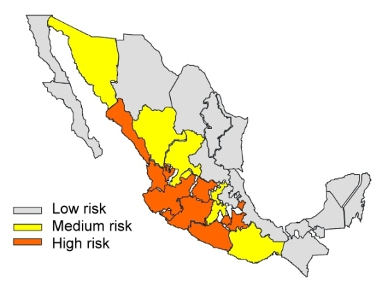 Scorpion risk in Mexico