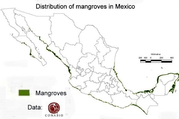 Map of distribution of mangroves in Mexico
