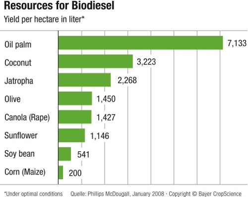 Sources of biodiesel.