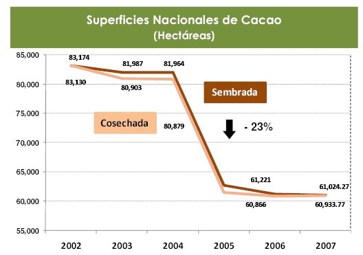 The annual area under cacao in Mexico