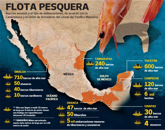Mexico's fishing fleet