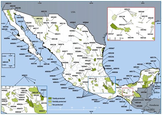 Important Bird Areas in Mexico [Birdlife.org]
