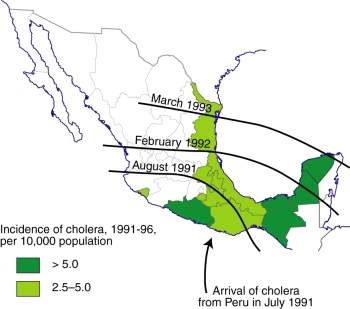 The spread of cholera in Mexico, 1991-1996
