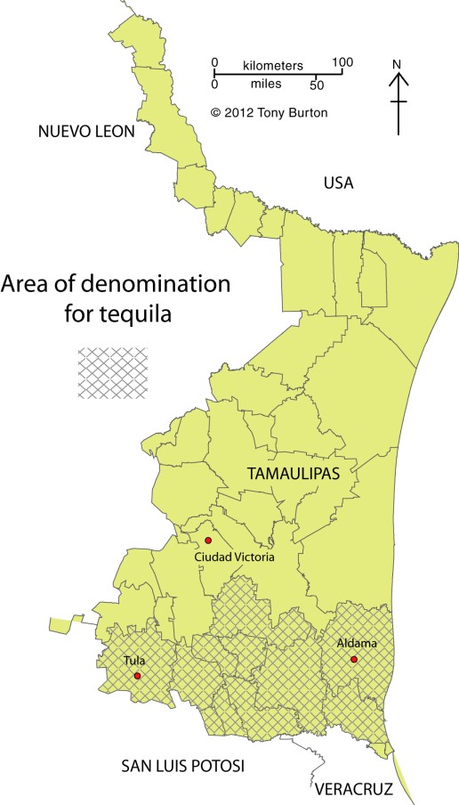 Tequila growing area in Tamaulipas. 