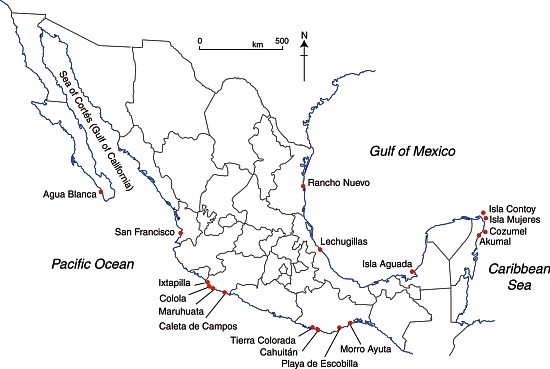 Selected marine turtle nesting beaches in Mexico.