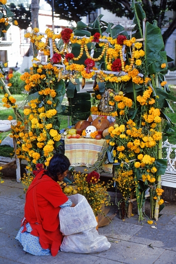 Finishing touches being put to a Day of the Dead altar, Oaxaca City. Photo: Tony Burton; all rights reserved.