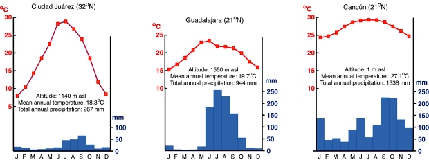 Mexico Weather Chart