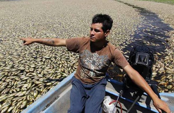 Local fisherman sees his livelihood disappear. Credit: Vanguardia