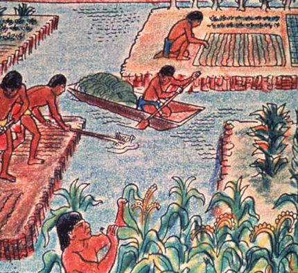 Artist's representation of chinampa farming