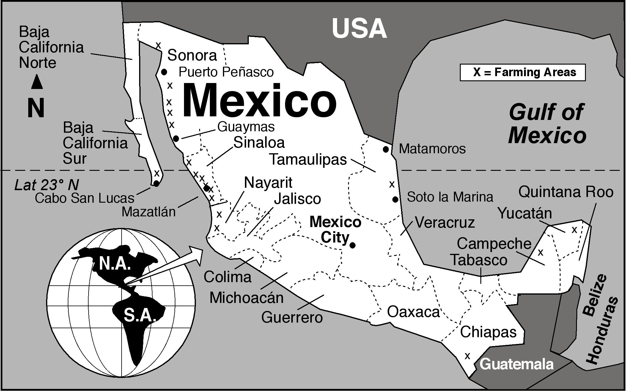 Image result for Mexico shrimp farms