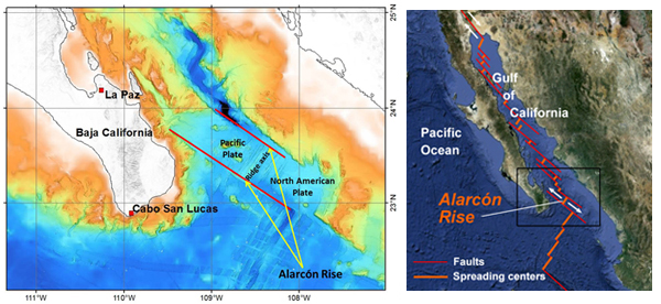 The Alarcón Rise is a 31-mile-long (50 kilometer) spreading center at the mouth of the Gulf of California. Along ocean spreading ridges like the Alarcón Rise, the seafloor is splitting apart as lava wells up from underneath. Credit: (c) 2012 MBARI