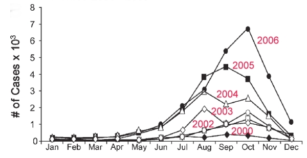 Monthly incidence of dengue cases in Mexico, 2000-2006