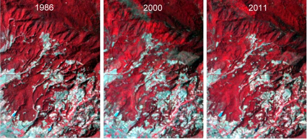 Satellite images of Chincua reserve, 1986, 2000 and 2011. 