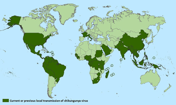 Distribution of Chicungunya, as of October 2015 