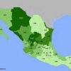 The cultivation of chiles in Mexico