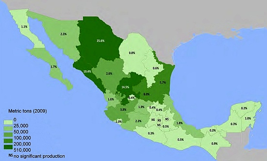 Production of chiles in Mexico
