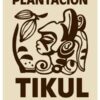 The Tikul Plantation cacao project near Mérida