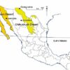 How similar are Mexico’s two major deserts, the Sonoran Desert and the Chihuahuan Desert?