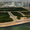 Ecocide in Cancún: mangroves destroyed overnight